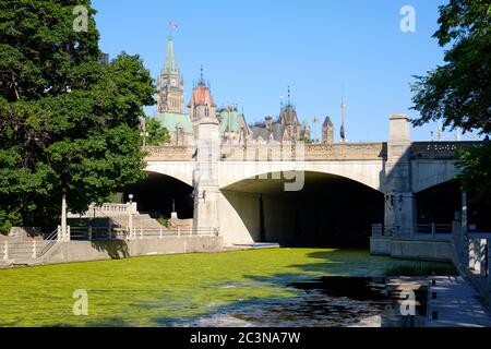 Ottawa, Kanada. Juni 2020. Das kanadische Parlament am Rideau-Kanal. Mit geringerem Verkehr als üblich wächst am Rideau-Kanal im Zentrum der Stadt eine Grünalge. Die Algenernte könnte das Ergebnis einer Kombination von Faktoren wie wärmeren Temperaturen und einem geringeren Schiffsverkehr aufgrund der laufenden Pandemie mit der gerade erst vor drei Wochen wieder eröffneten Kanale sein. Die Blüten, bekannt als grüne Filamentalgen, sind nicht toxisch und stellen an dieser Stelle vor allem ein ästhetisches Problem dar. Kredit: Meanderingemu/Alamy Live Nachrichten Stockfoto