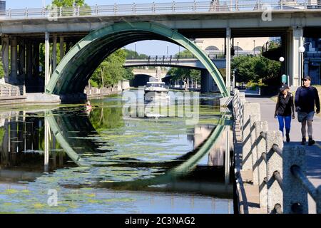 Ottawa, Kanada. Juni 2020. Mit geringerem Verkehr als üblich wächst am Rideau-Kanal im Zentrum der Stadt eine Grünalge. Die Algenernte könnte das Ergebnis einer Kombination von Faktoren wie wärmeren Temperaturen und einem geringeren Schiffsverkehr aufgrund der laufenden Pandemie mit der gerade erst vor drei Wochen wieder eröffneten Kanale sein. Die Blüten, bekannt als grüne Filamentalgen, sind nicht toxisch und stellen an dieser Stelle vor allem ein ästhetisches Problem dar. Kredit: Meanderingemu/Alamy Live Nachrichten Stockfoto