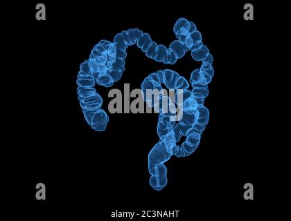 CT-Kolonographie oder CT-Scan von Colon 3D-Rendering-Bild blaue Farbe AP-Ansicht zeigt Doppelpunkt für Screening Kolorektalkarzinom. Überprüfung Screening Kolon ca. Stockfoto