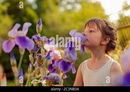 Kleines Mädchen im Garten mit blauen Iris. Sommerabend im Garten. Stockfoto