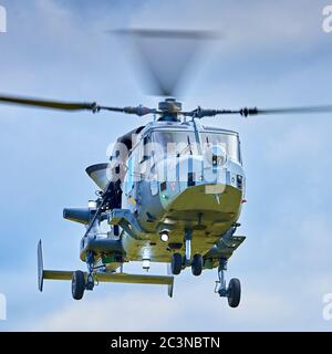 AgustaWestland AW159 Wildcat AH1 Hubschrauber im Flug Stockfoto