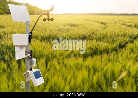 Wetterstation auf einem Weizenfeld. Präzisionsgeräte für die Landwirtschaft Stockfoto