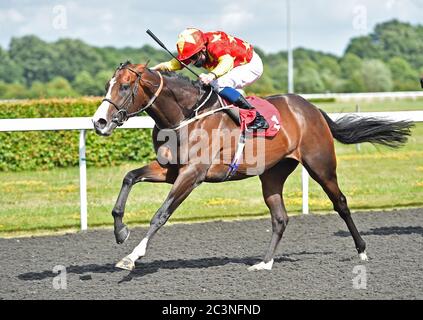 (L) Cognac (William Buick) gewinnt die Unibet Casino Einzahlung £10 Holen Sie sich £40 Bonus Handicap Stakes (Div.ll) auf Kempton Park Racecourse. Stockfoto