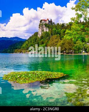 Die schönsten Seen Europas - Bled in Slowenien mit klarem Wasser und einer herrlichen mittelalterlichen Burg über dem Felsen Stockfoto
