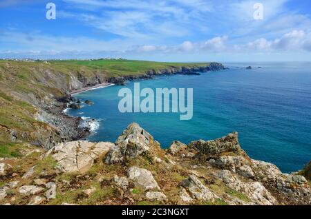 Die Klippen und die Küste südlich von Kynance Cove auf der Lizard Peninsula, Cornwall, Großbritannien - John Gollop Stockfoto
