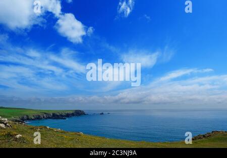 Die Klippen und die Küste südlich von Kynance Cove auf der Lizard Peninsula, Cornwall, Großbritannien - John Gollop Stockfoto