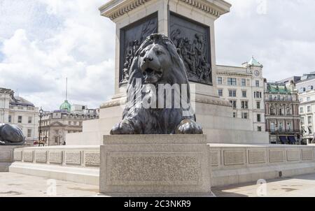 Eine der Löwenstatuen des Trafalgar Square an einem sonnigen Tag. London