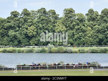 Palavechino (Martin Dwyer) führt die andere Seite hinunter, bevor er den Unibet Extra Place gewinnt, der jeden Tag Handicap-Einsätze auf der Rennbahn Kempton Park anbietet. Stockfoto