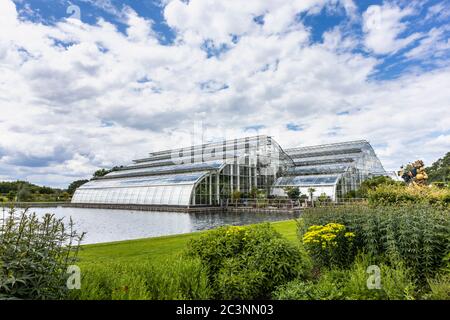 Das ikonische moderne Glasshouse, eine Sehenswürdigkeit im RHS Garden Wisley, Surrey, Südostengland im Frühsommer Stockfoto