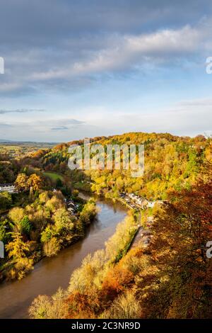 Am späten Nachmittag in Symonds Yat (West) im Herbst, England Stockfoto