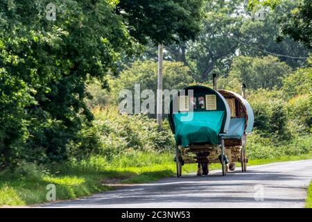 Zwei Pferdewagen im Zigeunerstil auf einer Landstraße in Norfolk. Stockfoto