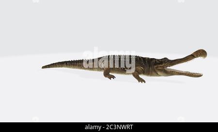 3D-Rendering eines Sarcosuchus-Reptils isoliert auf einem weißen Hintergrund Stockfoto