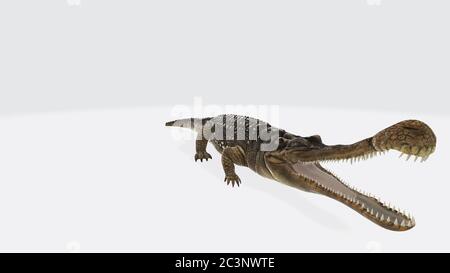 3D-Rendering eines Sarcosuchus-Reptils isoliert auf einem weißen Hintergrund Stockfoto