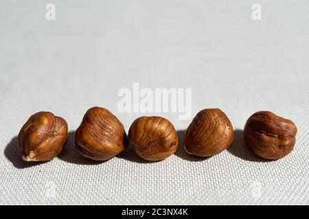 Nahaufnahme von fünf Haselnüssen in einer Reihe auf einem Weiße Oberfläche Stockfoto