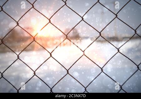 Winter Hintergrundbild Mesh Rabitz auf dem verschwommenen Hintergrund. Stockfoto