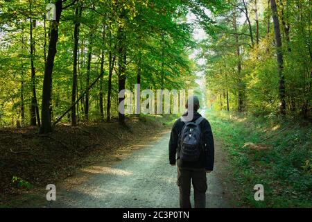 Ein Mann mit Rucksack, der eine Waldstraße entlang läuft, Blick an sonnigen Tagen Stockfoto