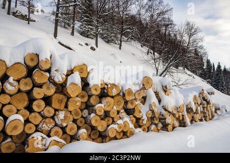 Brennholz für den Winter unter dem Schnee Stockfoto