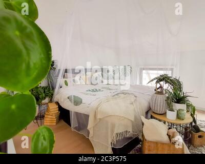 Helles weißes Schlafzimmer mit zahlreichen Zimmerpflanzen und Tageslicht Stockfoto