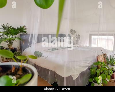 Helles weißes Schlafzimmer mit zahlreichen Topfpflanzen und Tageslicht Stockfoto