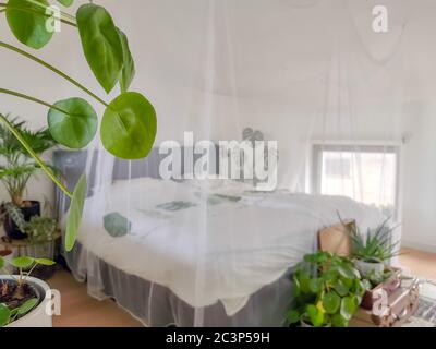 Helles weißes Schlafzimmer mit zahlreichen Topfpflanzen und Tageslicht Stockfoto