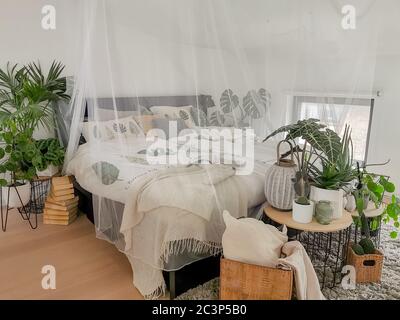 Helles weißes Schlafzimmer mit zahlreichen Zimmerpflanzen und Tageslicht Stockfoto