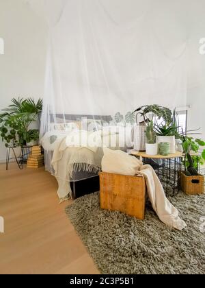 Helles weißes Schlafzimmer mit zahlreichen Zimmerpflanzen und Tageslicht Stockfoto