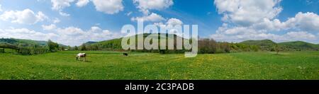 Wunderbares Panorama auf die Berge. Pferde auf einer Bergwiese. Sommerpanorama Landschaft in den Bergen. Ukraine, Karpaten. Wunderschöne Natur Stockfoto