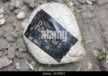 Hinterhof Bio-Garten begann zu Beginn des Sommers. Stockfoto