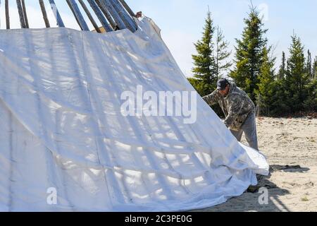 Eingeborener Mann, der ein Tipi baut, Quebec, Kanada Stockfoto