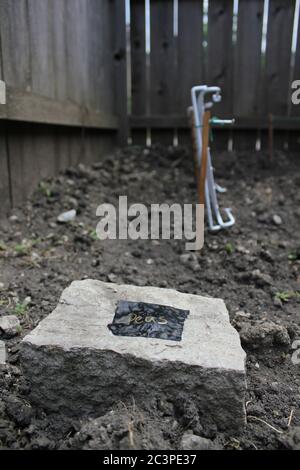 Hinterhof Bio-Garten begann zu Beginn des Sommers. Stockfoto