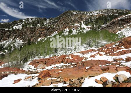 Spätschnee im Juni im Big Cottonwood Canyon, Utah Stockfoto