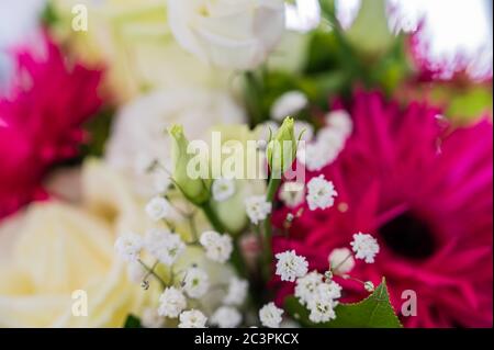 Nahaufnahme eines Bouquets mit weißen Rosen, rosa Alpenstern und grünen Spinnenmom-Blumen Stockfoto