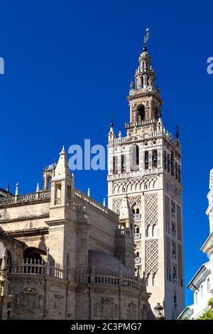 Der Glockenturm der Giralda (La Giralda) der Kathedrale von Sevilla, Sevilla, Spanien Stockfoto
