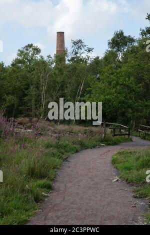 Smitham Chimney, East Harptree Woods, Somerset, Großbritannien Stockfoto