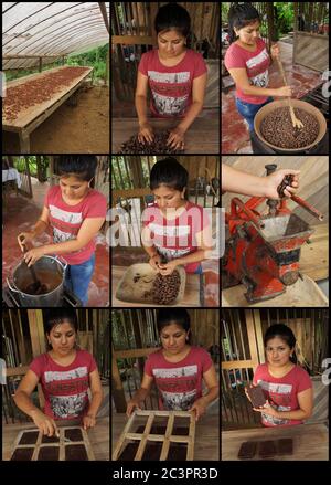 Puerto Quito, Pichincha / Ecuador - August 17 2017: Sequenz von 9 Fotos, die den Prozess lehren, der einer lateinischen Frau folgt, um hausgemachte Schokolade zu machen Stockfoto