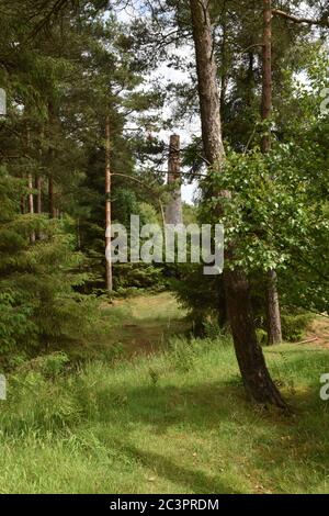 Smitham Chimney, East Harptree Woods, Somerset, Großbritannien Stockfoto