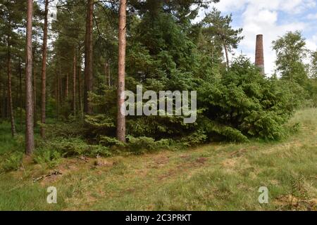 Smitham Chimney, East Harptree Woods, Somerset, Großbritannien Stockfoto