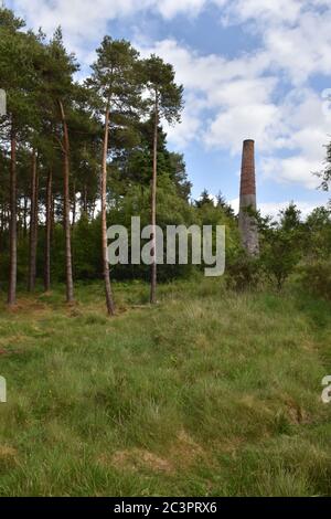 Smitham Chimney, East Harptree Woods, Somerset, Großbritannien Stockfoto