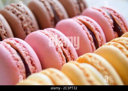 Reihen von pastellfarbenen französischen Macarons Stockfoto