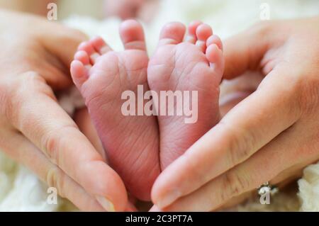 Füße des Neugeborenen in den Händen der Mutter Stockfoto