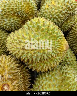 Frische Durian zum Verkauf im Supermarkt Stockfoto