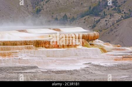 Dampf Aufsteigen von Kalksteinterrassen in Mammoth Hot Springs im Yellowstone Park in Wyoming Stockfoto