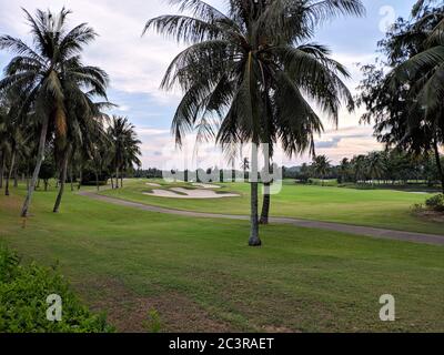 Der Golfplatz hat mehrere Kokospalmen Stockfoto