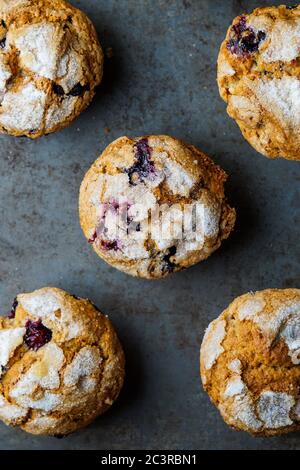 Hausgemachten Blaubeer-muffins Stockfoto