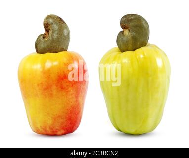 Cashew Früchte isoliert auf weißem Hintergrund Stockfoto