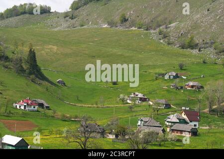 Häuser im Dorf Sirnea, eine Siedlung in den Karpaten, Rumänien. Stockfoto