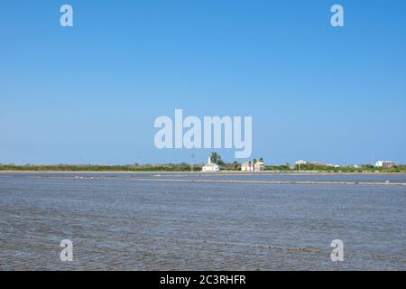 Landschaft von Reisfeldern in der Nähe der Lagune von Valencia, Spanien. Frisch gepflanzte Reisfelder. Stockfoto