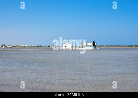 Landschaft von Reisfeldern in der Nähe der Lagune von Valencia, Spanien. Frisch gepflanzte Reisfelder. Stockfoto