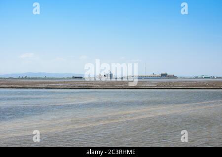 Landschaft von Reisfeldern in der Nähe der Lagune von Valencia, Spanien. Frisch gepflanzte Reisfelder. Stockfoto