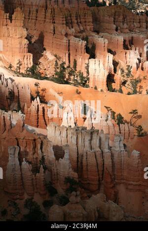 Vertikale Ansichten der rosafarbenen eroded Hoodoo Felsformationen am Bryce Canyon Utah Stockfoto